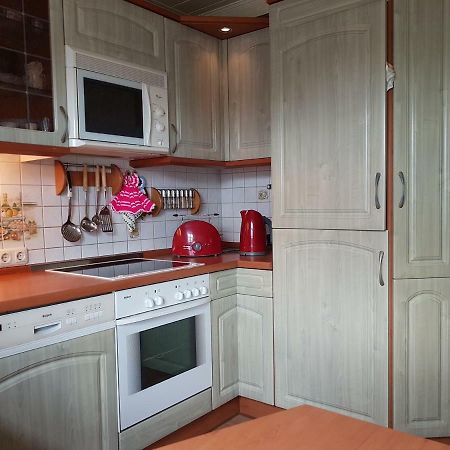 Appartamento Strasse Des Friedens Hilmersdorf Esterno foto